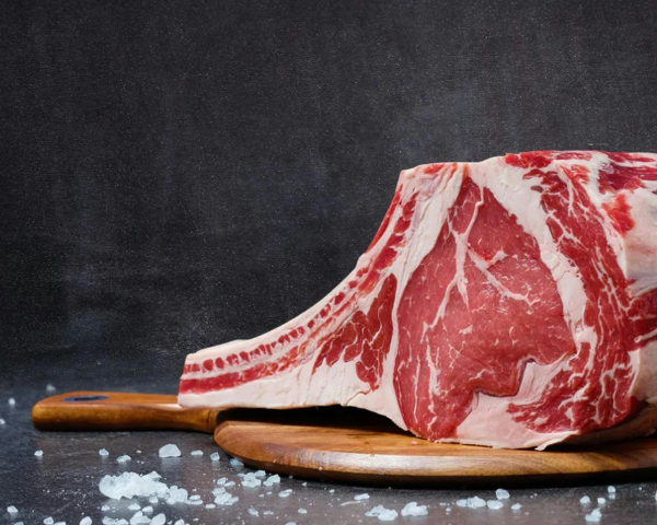 ut (600 x 480 px) (1)